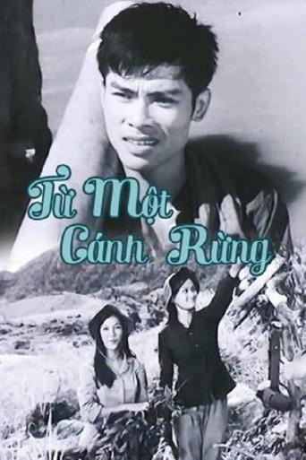 From The Same Forests (1978) poster