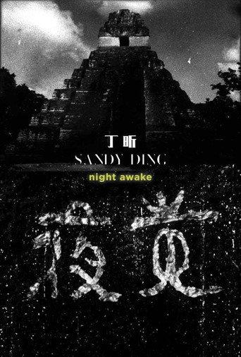 Night Awake (2016) poster