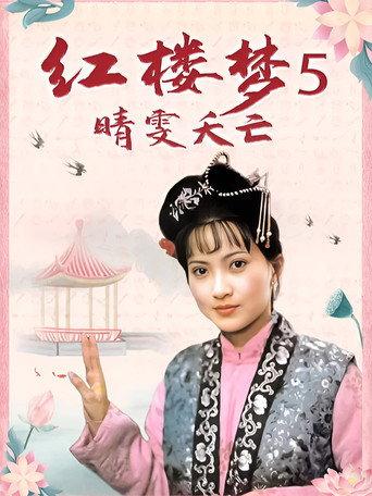 红楼梦第五部：晴雯夭亡 (1989) poster