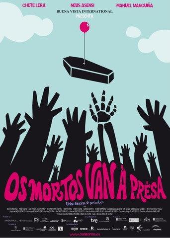 Lost in Galicia (2009) poster
