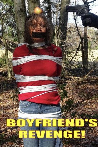 Boyfriend's Revenge () poster