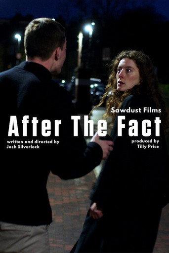 After the Fact () poster