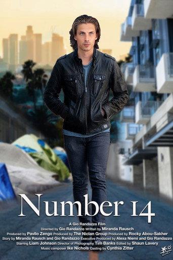 Number 14 () poster