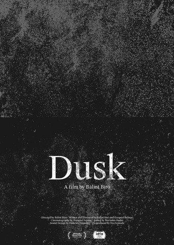 Dusk (2020) poster