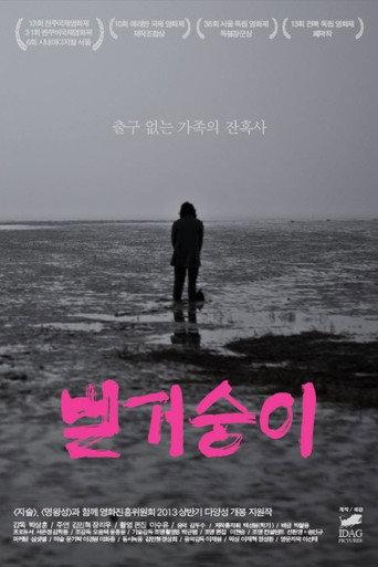 A Mere Life (2013) poster