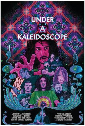 Under a Kaleidoscope (2014) poster