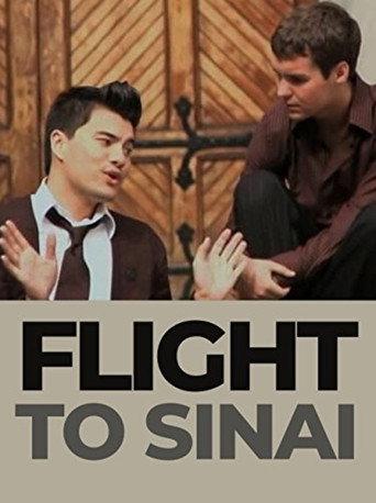 Flight to Sinai (2009) poster