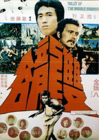 Valley of the Double Dragon (1974) poster