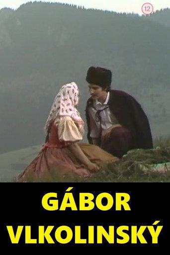 Gábor Vlkolinský (1978) poster
