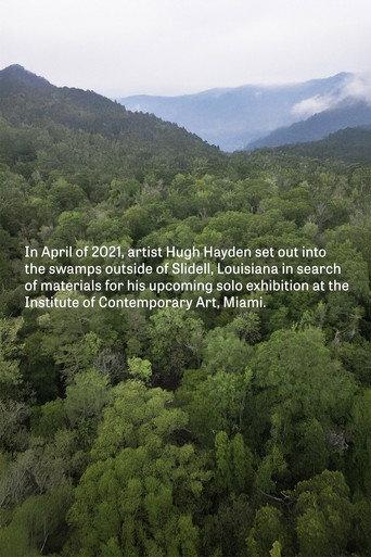 Hugh Hayden: Skeletons in the Swamp (2022) poster