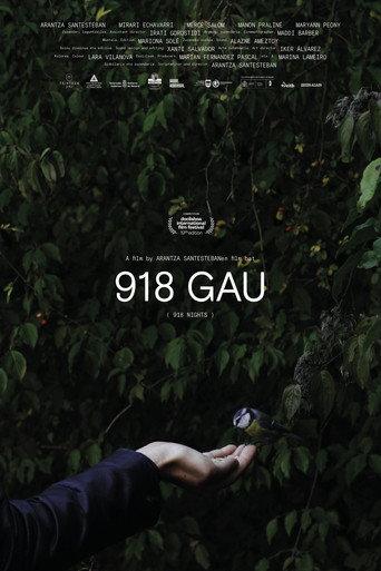 918 Nights (2021) poster