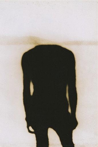 The Instant of Gaze: Portraits by Chang Chao-Tang (1999) poster