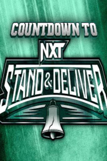 WWE Countdown to NXT Stand & Deliver 2024 (2024) poster