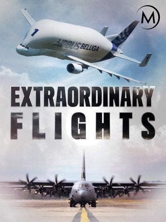 Extraordinary Flights (2017) poster