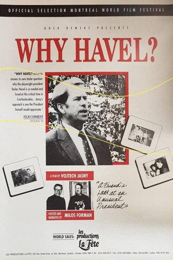 Why Havel? (1991) poster