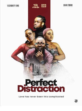 Perfect Distraction () poster
