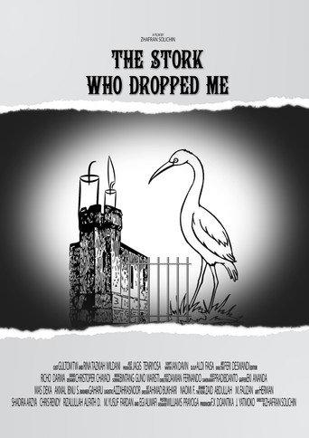 The Stork Who Dropped Me (2016) poster