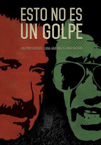 This Is Not a Coup (2018) poster