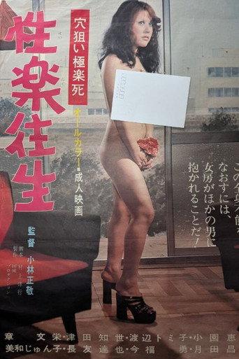 Sexual Pleasure (1975) poster
