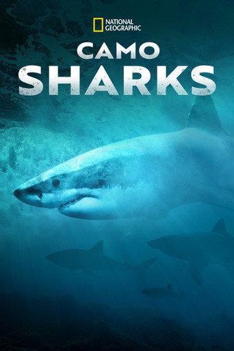 Camo Sharks (2022) poster