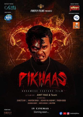 Pikhaas () poster