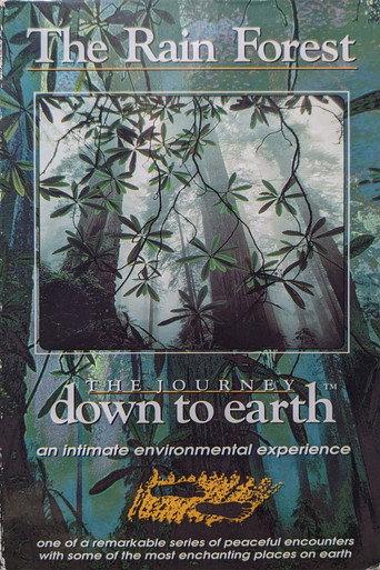 The Journey Down to Earth - The Rain Forest (1993) poster