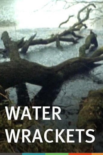 Water Wrackets (1978) poster