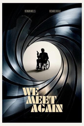 We Meet Again (2025) poster