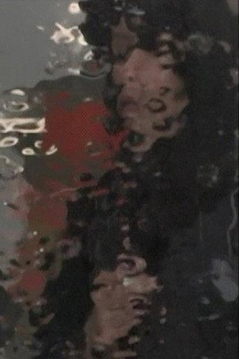 Akira Tsuboi Documents (2013) poster