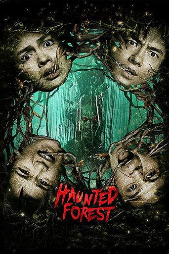 Haunted Forest (2017) poster