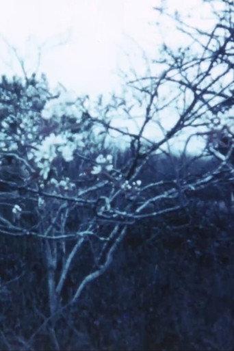 Vineyard I (1967) poster