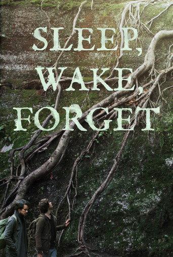 Sleep, Wake, Forget (2024) poster