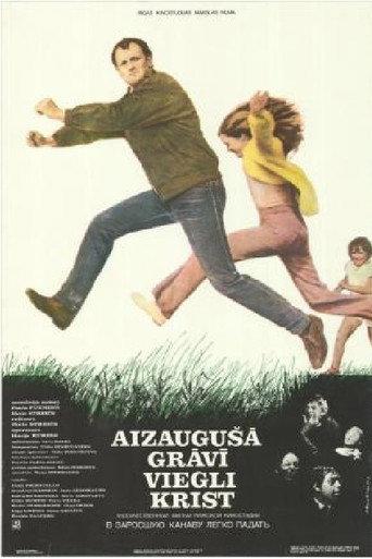 It's Easy to Fall Into an Overgrown Ditch (1986) poster
