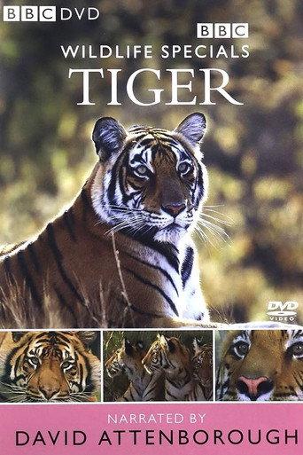 Tiger: The Elusive Princess (1999) poster
