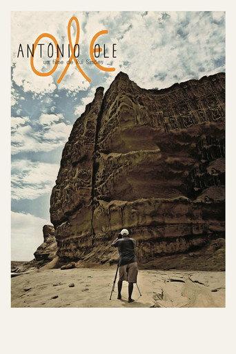 Ole António Ole (2013) poster
