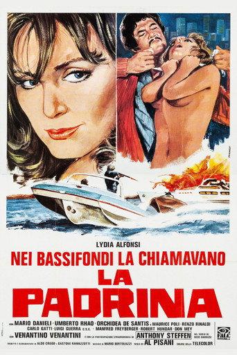Lady Dynamite (1973) poster