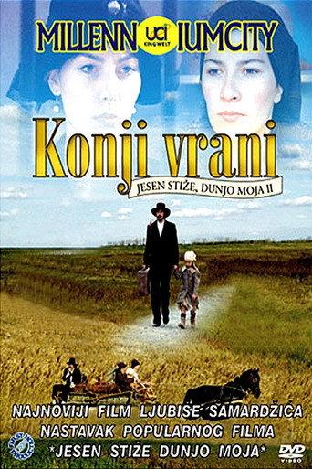 Black Horses (2007) poster