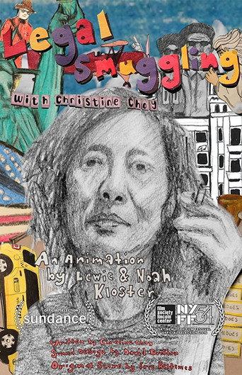 Legal Smuggling with Christine Choy (2016) poster