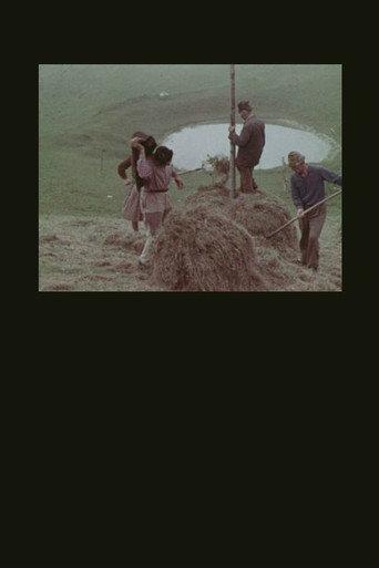 La montagna del sole (1966) poster
