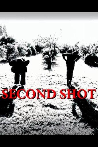 Second Shot (2017) poster