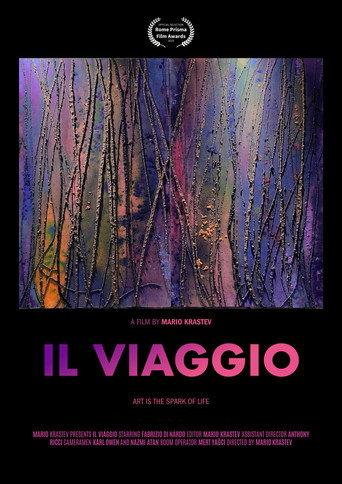 IL VIAGGIO () poster