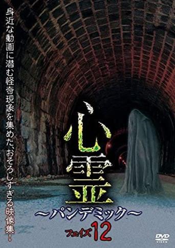 Spirit Pandemic Phase 12 (2018) poster