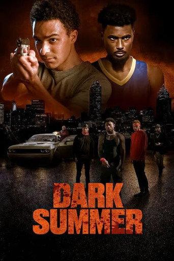 Dark Summer () poster