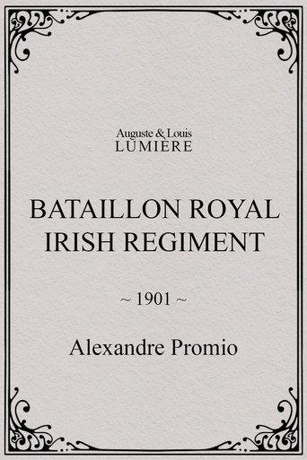 Bataillon Royal Irish Regiment (1901) poster