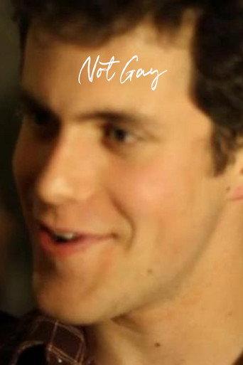 Not Gay (2013) poster