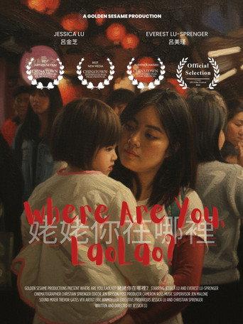 Where Are You, LaoLao? () poster