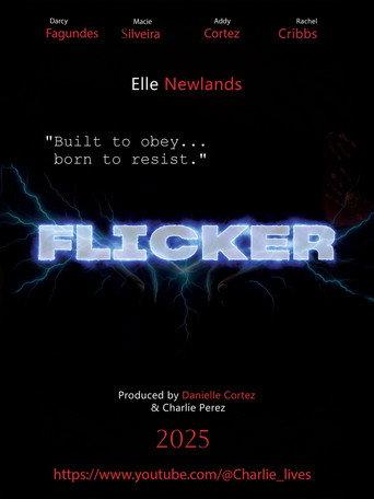 Flicker (2026) poster