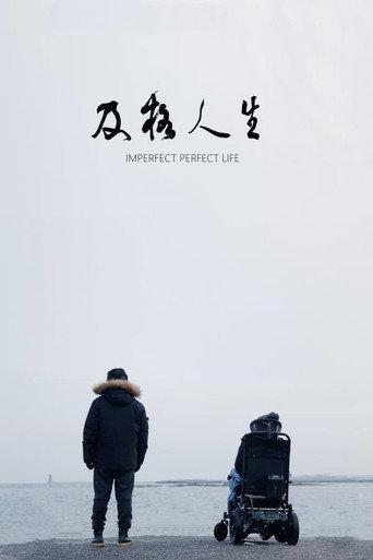 Imperfect Perfect Life (2021) poster
