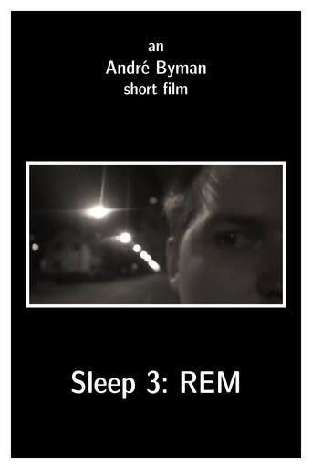 Sleep 3: REM (2010) poster