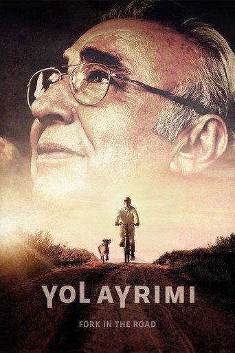 Fork in the Road (2017) poster